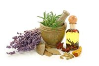 اختصاص تسهیلات تکلیفی سال مالی جدید به حوزه گیاهان دارویی
